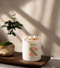 Bamboo Alley Double Wick Soy Candle | Ink You