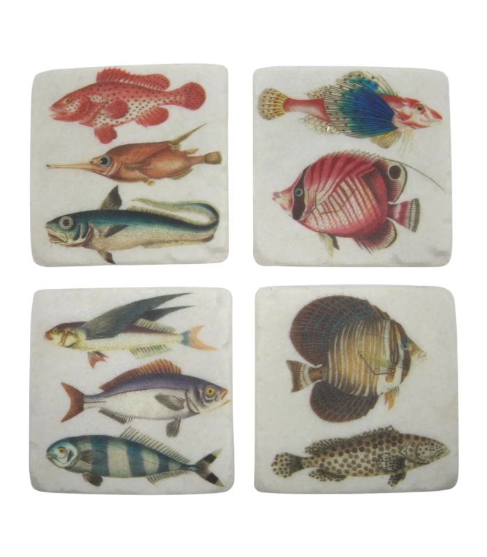 Coaster - Matte - Fishes - 10x10x4cm (Set of 4) | Ink You