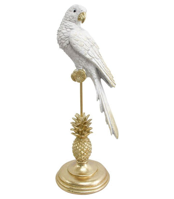 White King Parrot on Gold Stand