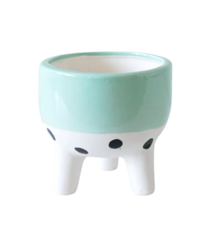 Sage Band and Spots Pot/Planter | Ink You