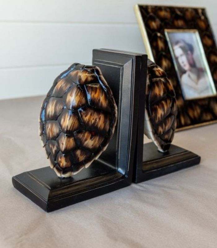 Toni Faux Turtle Shell Book Ends | Ink You